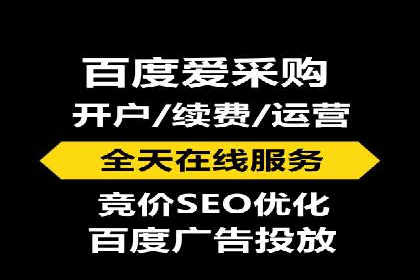 百度推广费用投入与用户转化路径的优化案例